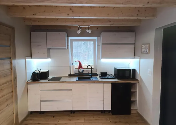 Pod Kasztanem 2 Nad Jeziorem Hébergement de vacances Wartkowo